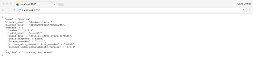 Ensuring ElasticSearch is up and running