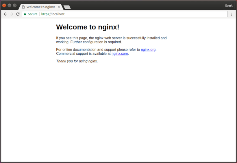 Google Chrome Shows the Site as Secure - Create a Self-Signed Certificate for Nginx in 5 Minutes